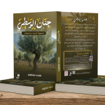 حنان الوسطي